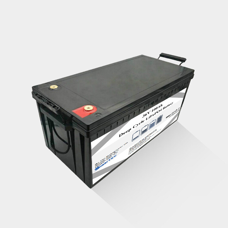 OEM/ODM Supported 36V 100AH LiFePO4 Batteries