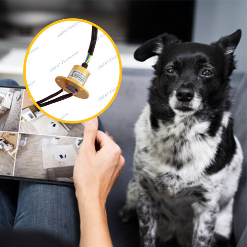 jinpat slip rings enabling advanced animal activity tracking with precision and reliability