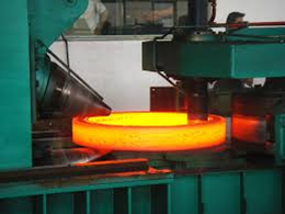 rolled ring forging