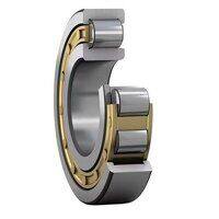 n nj nup type cylindrical roller cat 1009 cat