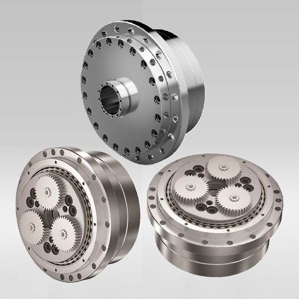 rotary vector reducer
