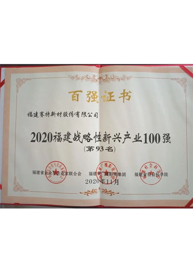 certificate of 93rd place among the top 100 strategic emergi