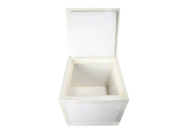 disposable insulated box (export specialized)