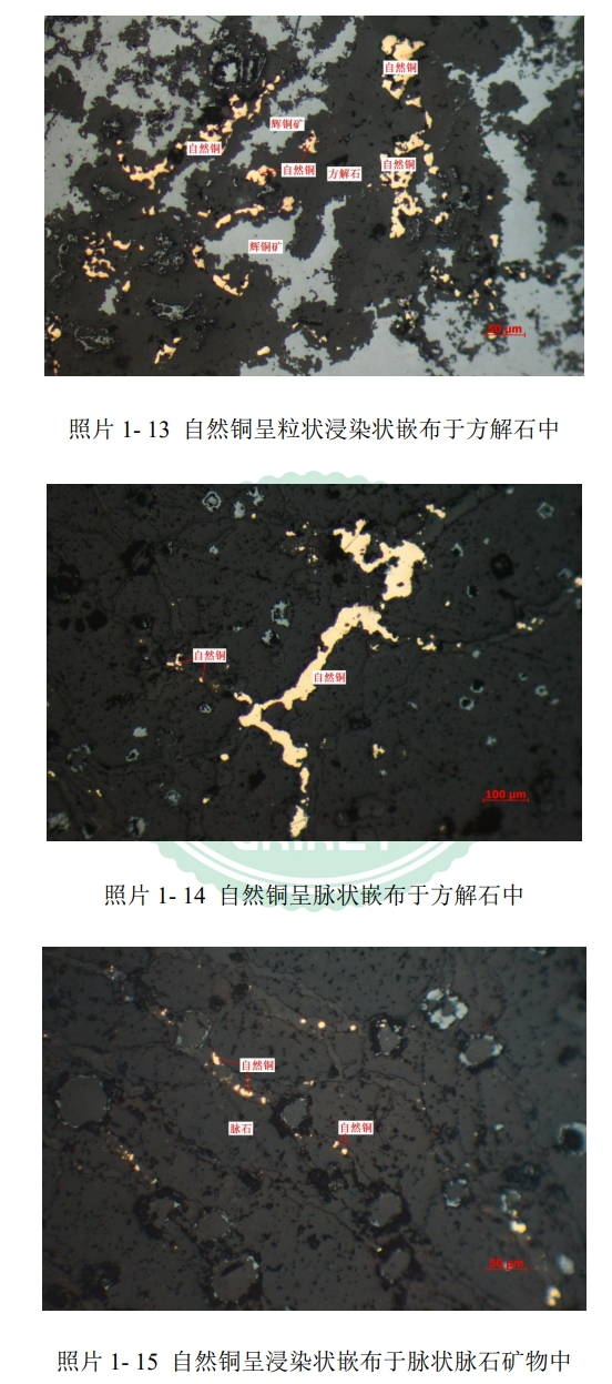 试验工艺矿物学
