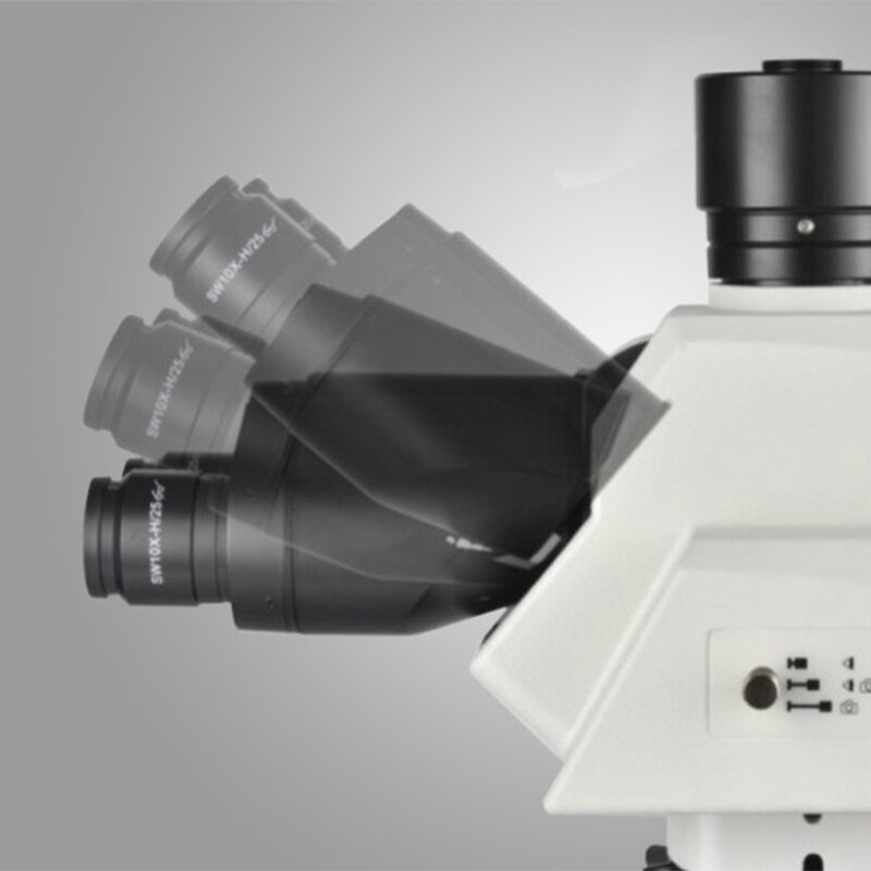 mn 60 series microscope