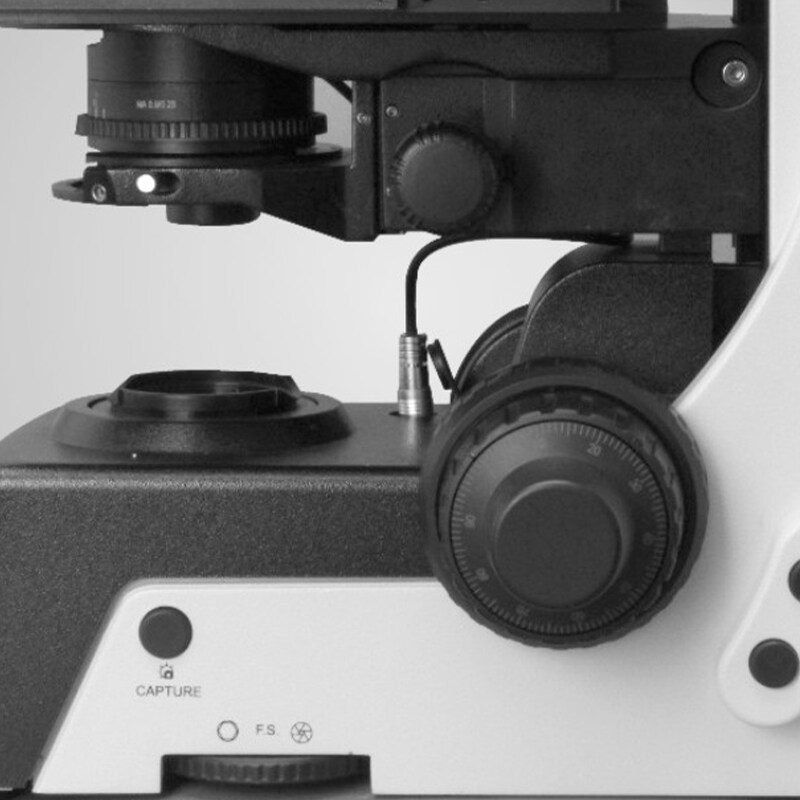 mn 60 series microscope