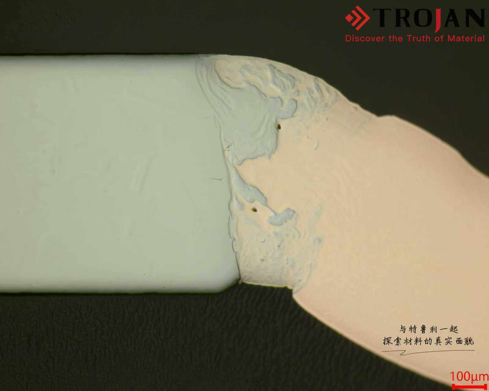 6dce46981f03bafd655747ca5d64818e