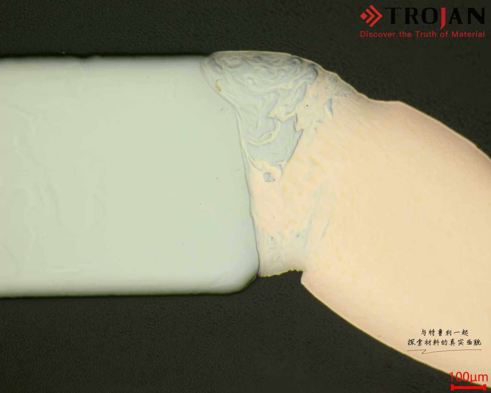 e8ed754f6f4e6527fcf113d31c186646