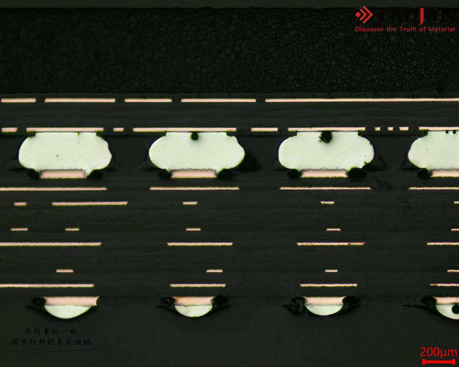 c05eeb48440e3e2bba9abf8227d2146c