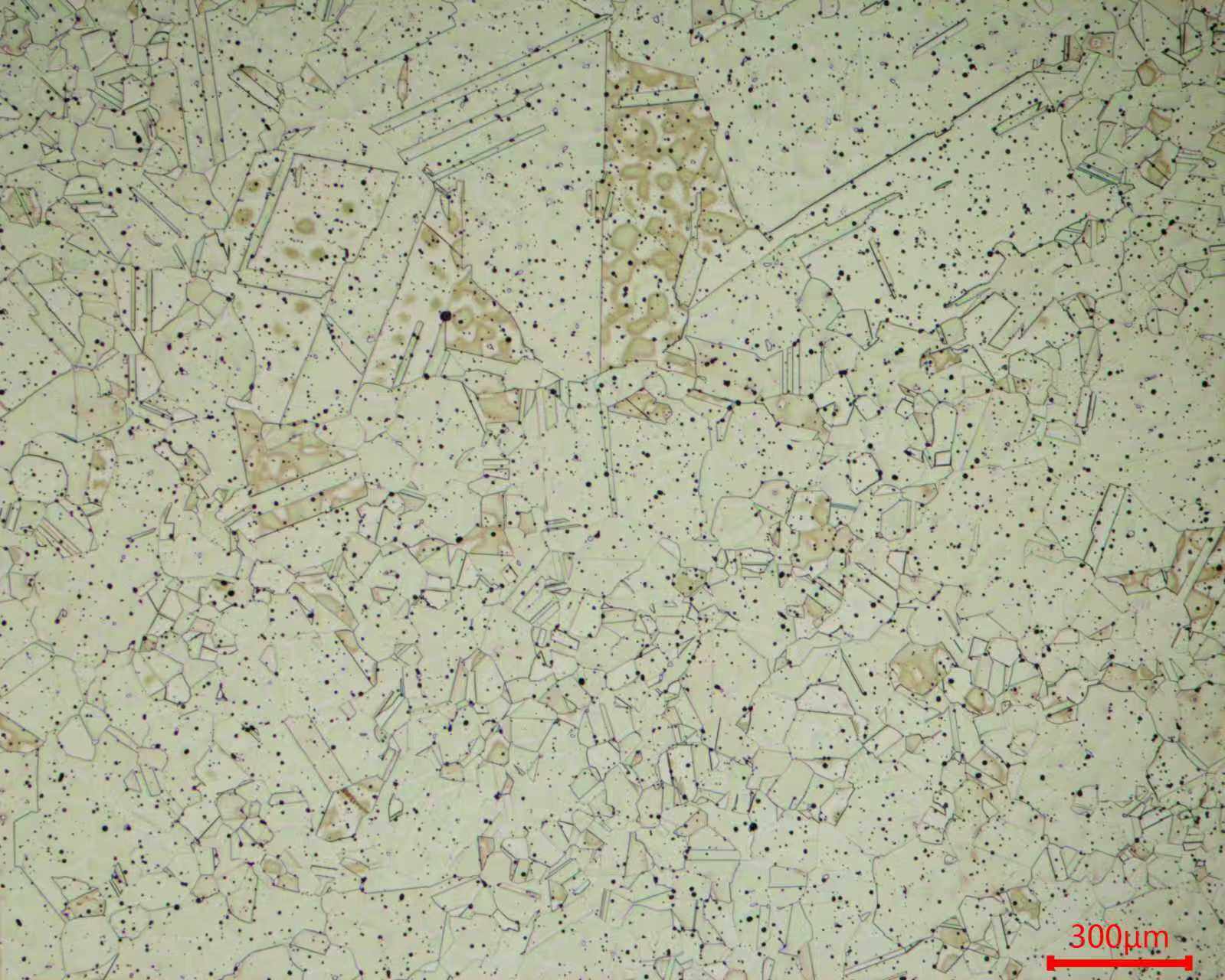 dae03b71bb2b083a7f954a43d7b4b002