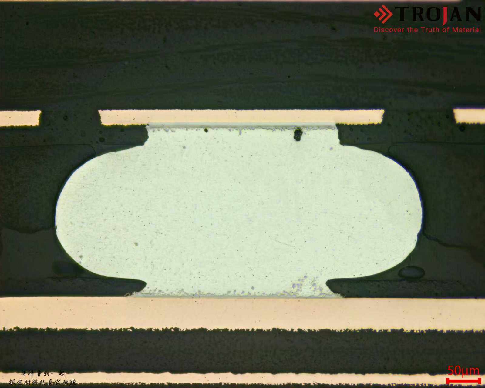 f5ae13454c1b26a114c9866e743c54a4