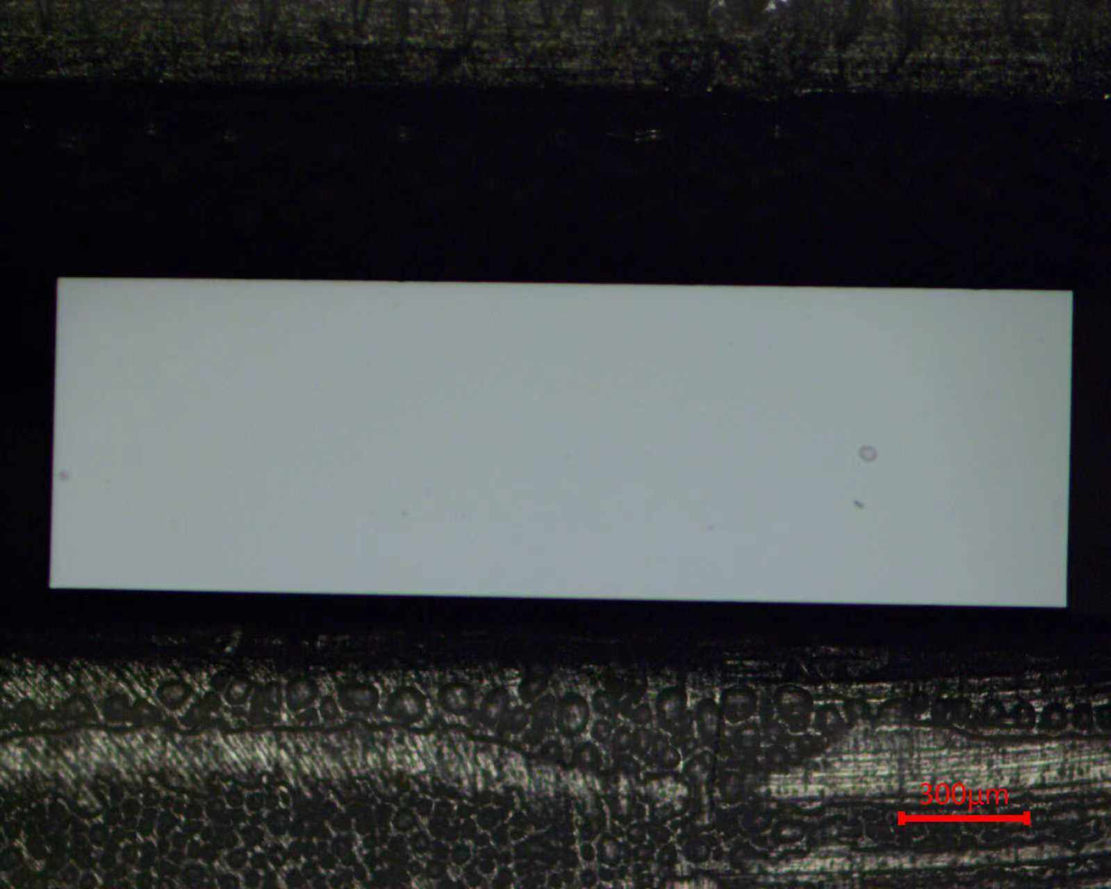 2c8d7a427a2f72b9e1781eea501a256a