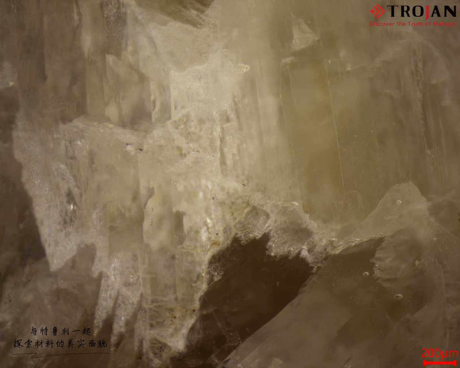 36b7f1c801bcc6407240b2f0c23e5780