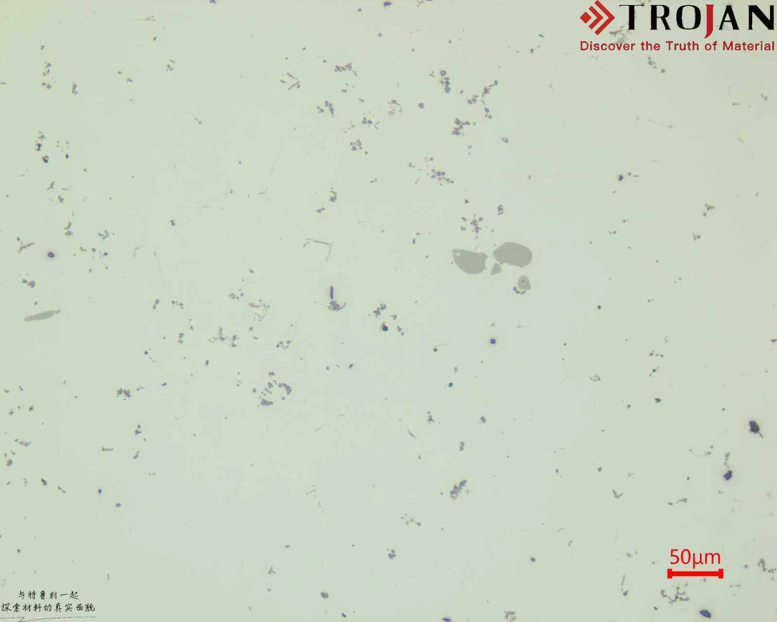 a99905c4e3166a0a4f831ba2ae26c47b