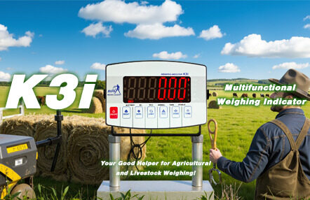 4 weighing indicators
