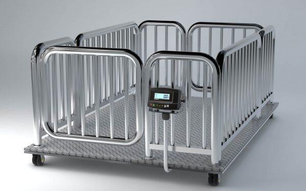 bds k2 weighing indicator