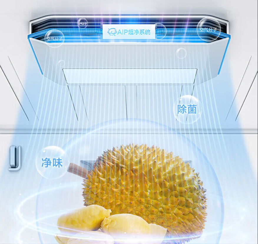 refrigerator ion wind collaborative catalysis