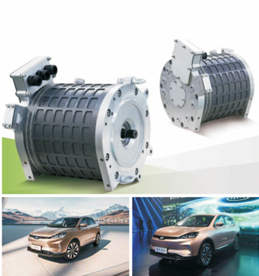 drive motor system for electric vehicles