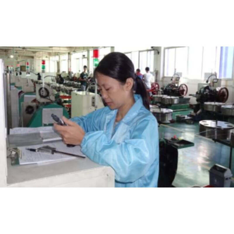 company introduction – inspection platform (2)