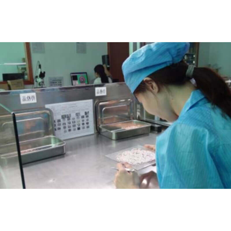 company introduction – inspection platform (3)