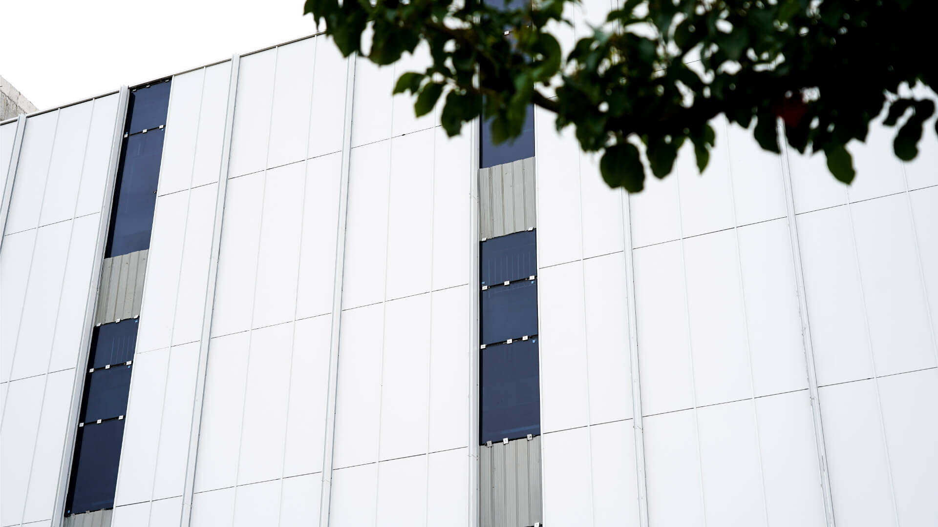 Bibo Biotech (2)
