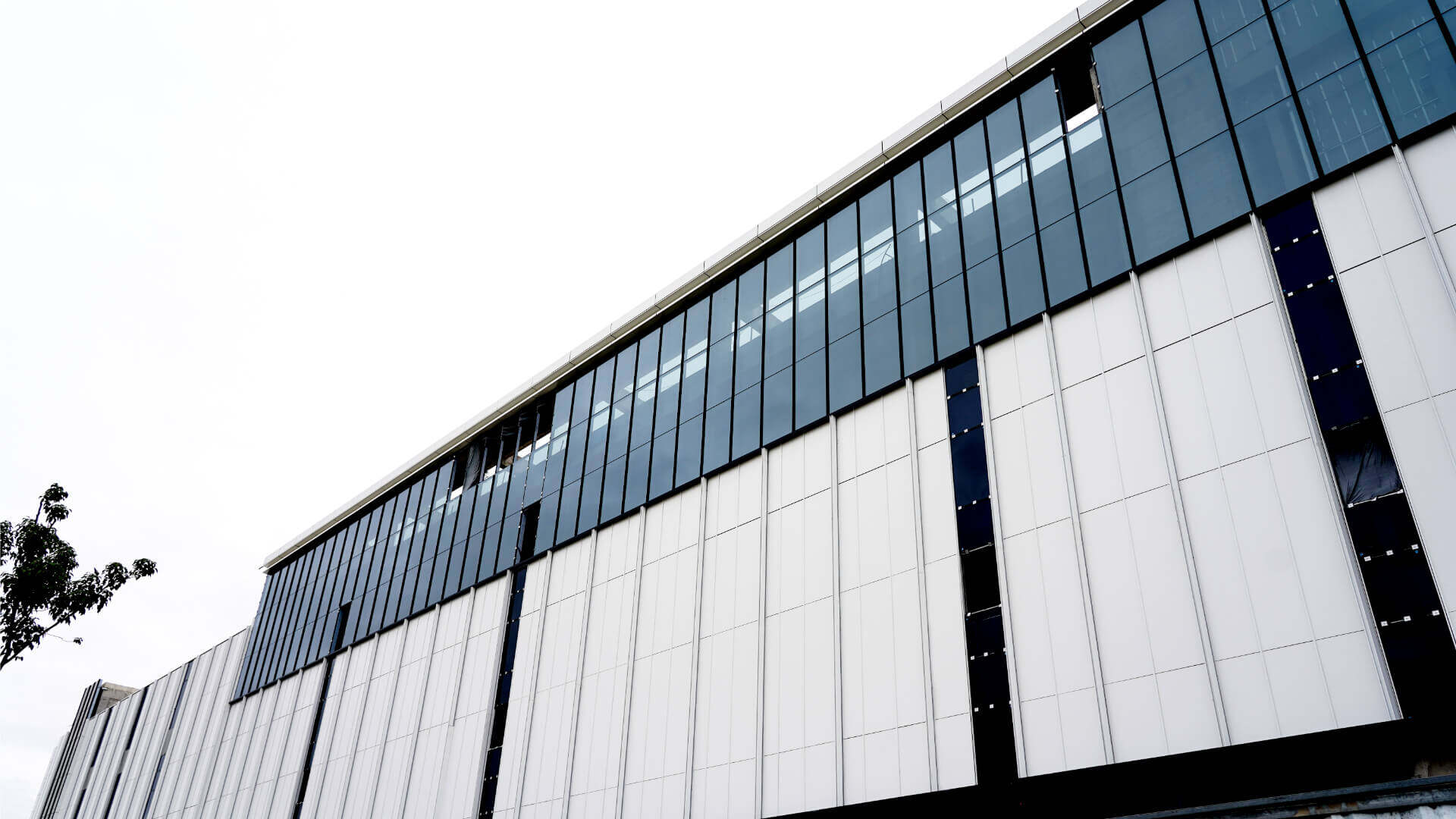 Bibo Biotech (3)