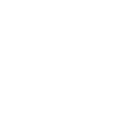 icon-Spirit of Company