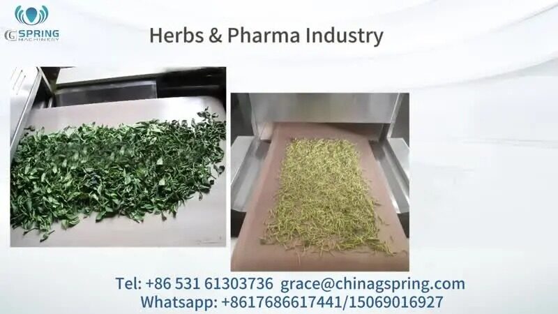 Pharmaceutical-Microwave-Video-Img
