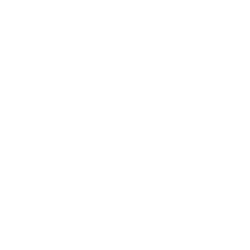 Professional Technology