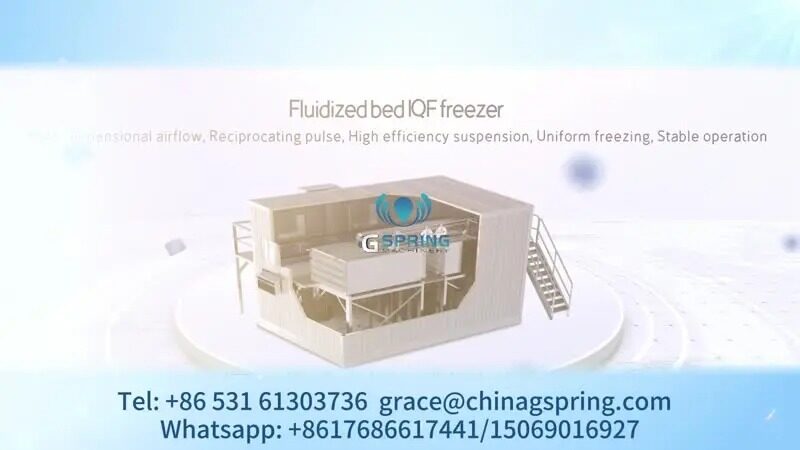 Quick-Freezing Machine Video -2