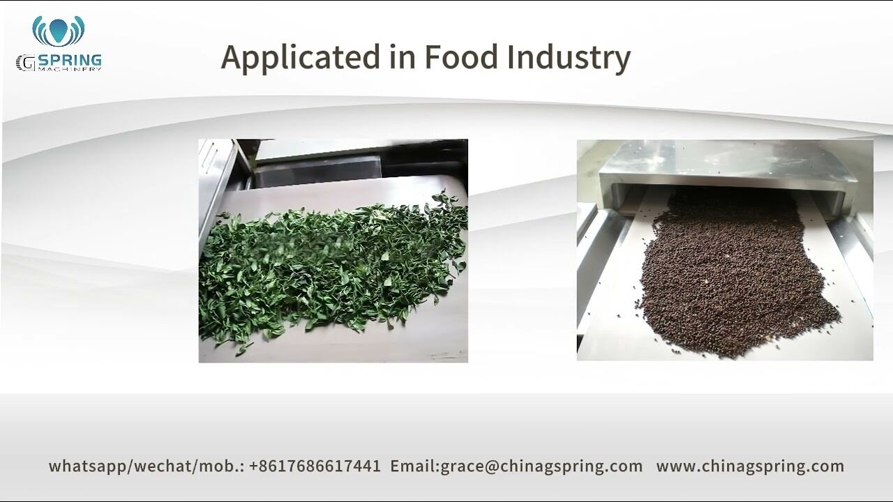 Best Industrial Microwave Dryer in Food Processing from Gspring Machinery