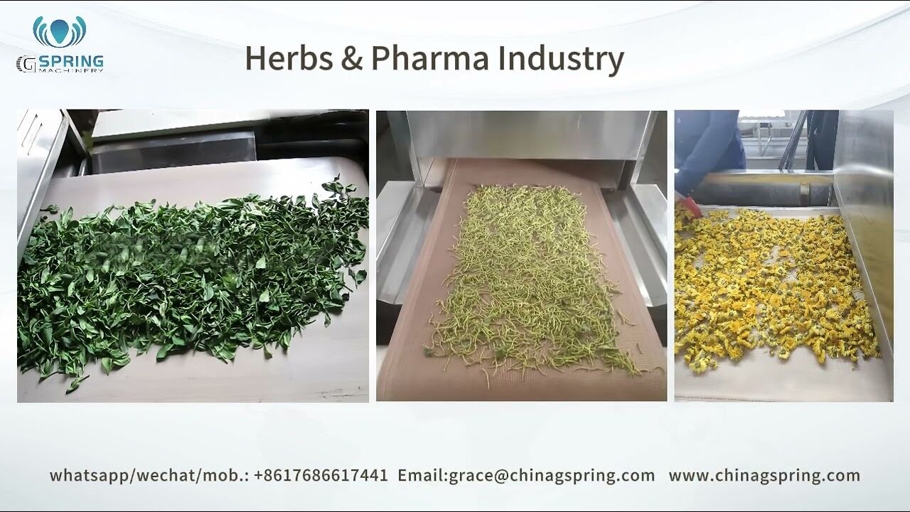 Industrial Microwave Oven Vacuum Microwave Dryer for Herbs from Gspring Machinery