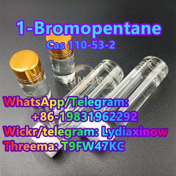 sell 1 bromopentane cas 110 53 2 raw material china factory supplier