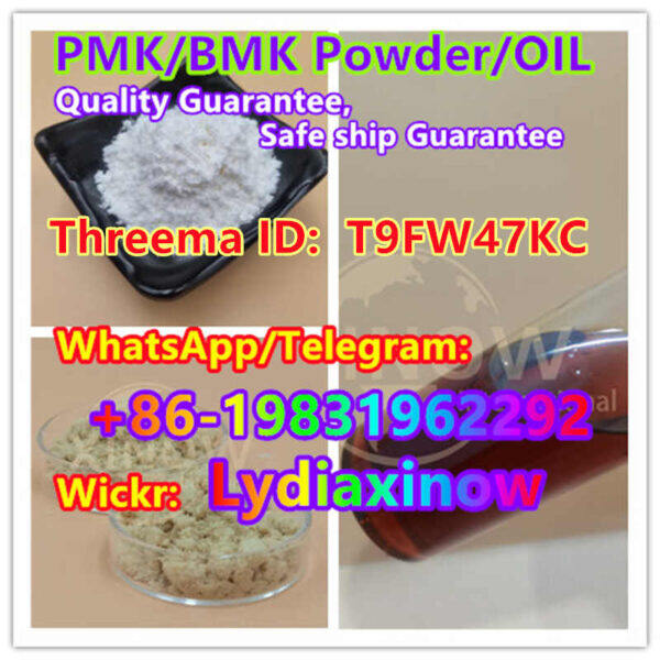 safety delivery bmk glycidate powder pmk powder/oil cas 5449 12 7 pmk/bmk
