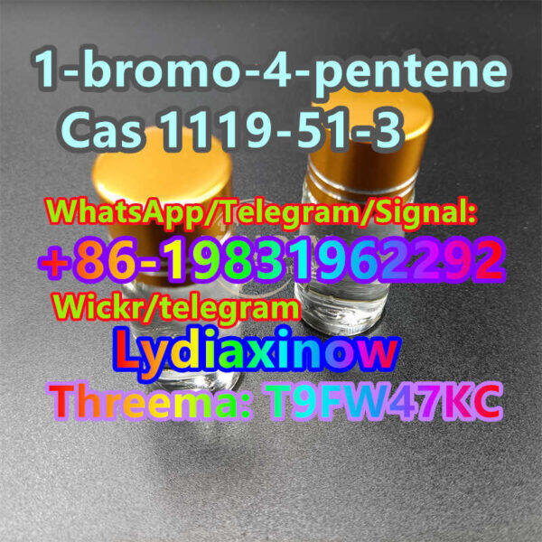 100% high quality 1 bromo 4 pentene cas 1119 51 3 china top supplier price