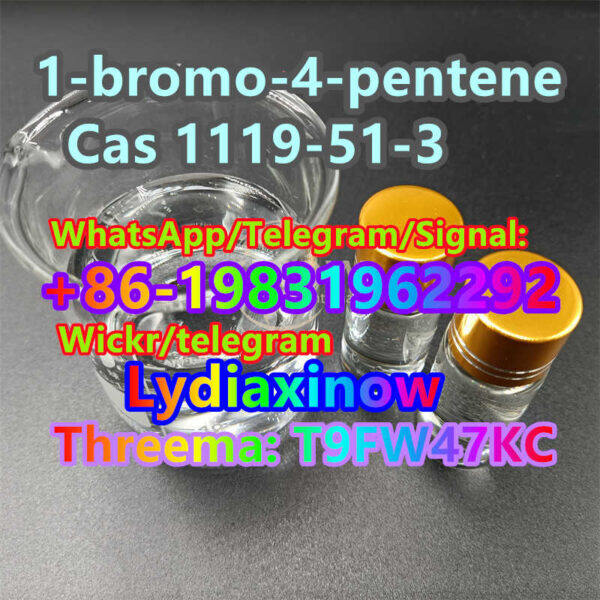 100% high quality 1 bromo 4 pentene cas 1119 51 3 china top supplier price