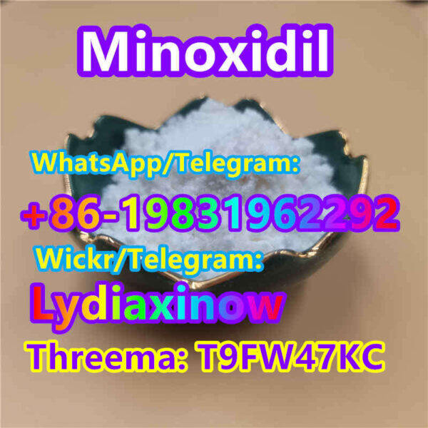 100% high quality minoxidil raw powder cas 38304 91 5 xinow china manufacturer price